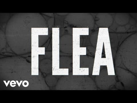 Flea