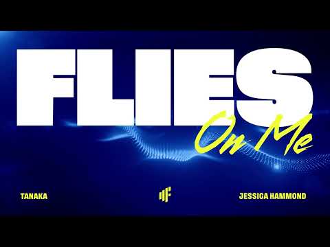 Flies On Me