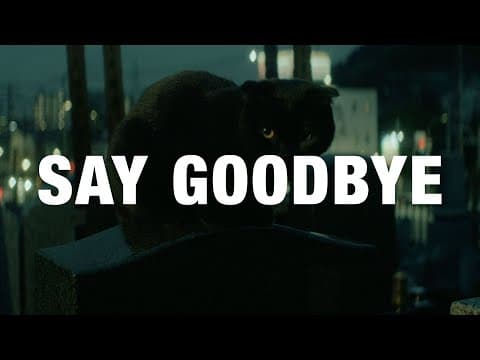 Say Goodbye