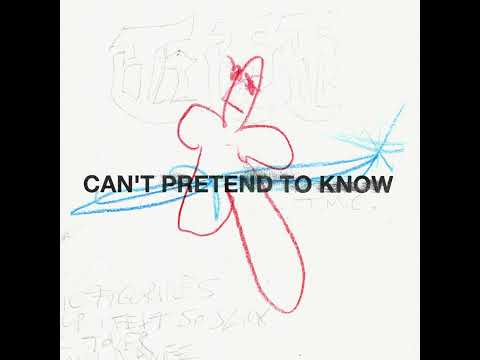 Can't Pretend